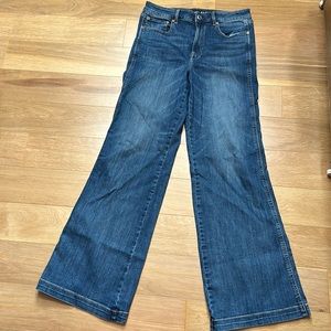 American Eagle Super Stretch Wide Leg size 12L